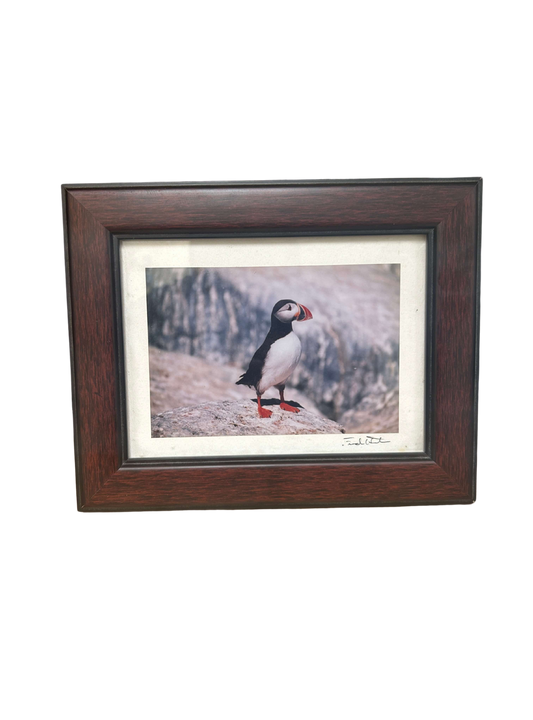 Elegant wooden picture frame with a refined stain finish, designed to accentuate artwork with its classic rectangular shape. A cherished piece for both art lovers and home decorators, elevating the presence of valued images. Available for purchase to aid our hearing clinic at Allard Audiology.